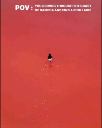 Namibia’s bright pink lake gets its color from tiny organisms that make beta-carotene, like in carrots. Its super salty water supports unique life and produces tons of salt for the region.As a protect...