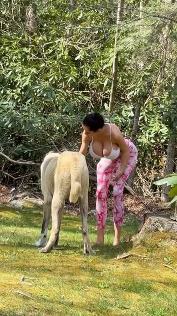 Biggest Dog 🐕 in the world #motivation #bodypositive #gym #viral #natural #gymmotivation #worldrecord #dog Guess the race. He is only 2 month old and weights 220 pounds already