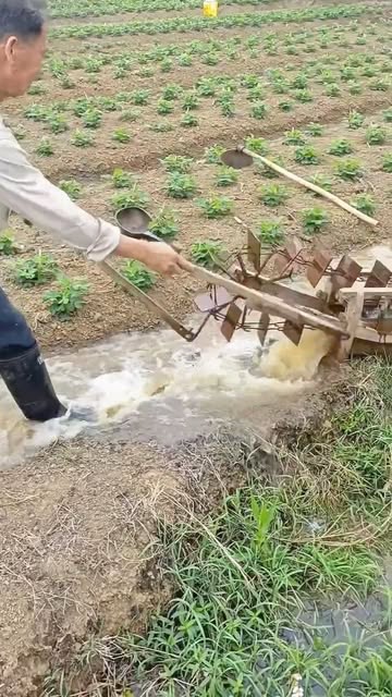 Amazing Rural Water Digging Technique 😲😳🫡🫶..#fishing #flyfishing #saltlife #bassfishing #fishinglife #boating #shimano #catchandrelease #carp #trout #pesca #fisherman #angler #largemouthbass #pike #fi...