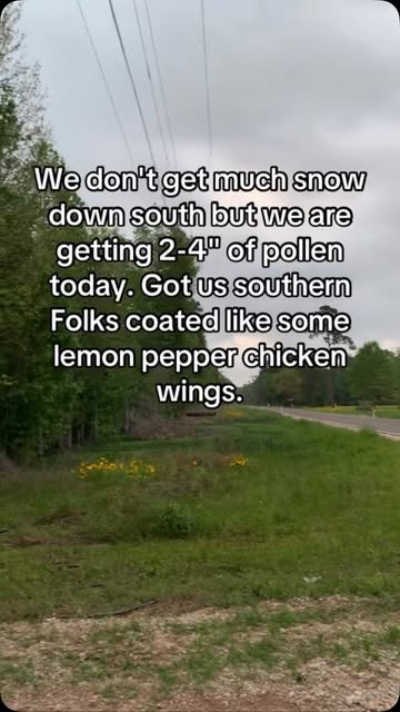 This pollen is going to be the death of me 🤧(via: TT//aesop080)