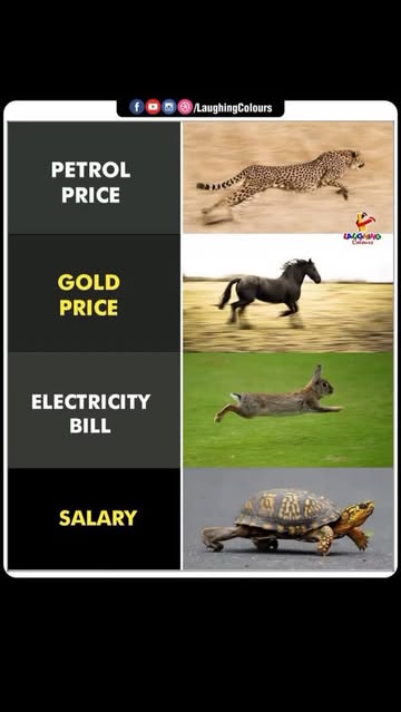 🎯 Looking to Buy or Sell Instagram Accounts Read caption 👇👇?📲 You're in the right place – @vistara_ads is your trusted marketplace!✅ Verified Accounts✅ Genuine Followers✅ Smooth Handover📞 Contact Now:...