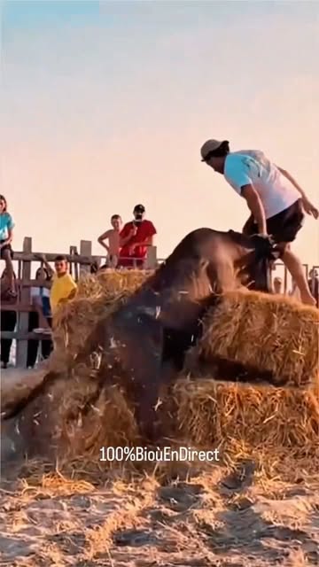Amazing Cow Attack A Boy Very Dangerous 😲😳🫶🫡..#fishing #flyfishing #saltlife #bassfishing #fishinglife #boating #shimano #catchandrelease #carp #trout #pesca #fisherman #angler #largemouthbass #pike #...