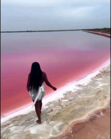 Namibia’s bright pink lake gets its color from tiny organisms that make beta-carotene, like in carrots. Its super salty water supports unique life and produces tons of salt for the region.As a protect...