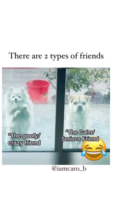 🤣😂😂 Which friend are you? #reels #reelsinstagram😍
