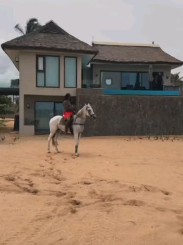 Burna Boy horse riding on the beach with Bnxn few days before 'No Sign of Weakness' 🦍🔥#africanfolder #burnaboygram #burnaboy #afrobeats #music