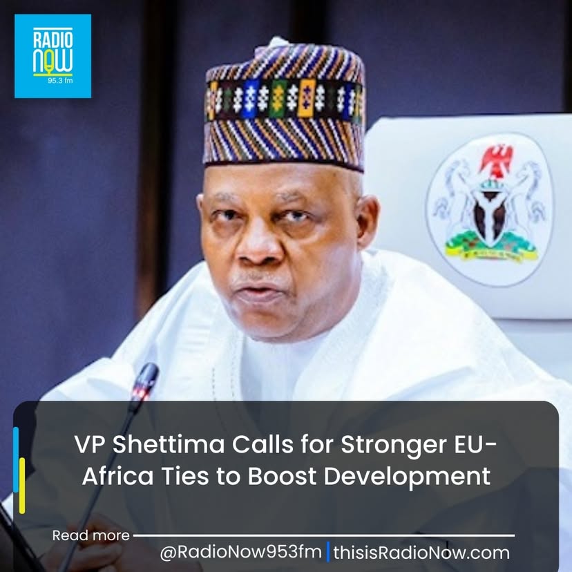 Vice President Kashim Shettima has called for a deeper partnership between the European Union and African nations to accelerate development across the continent. Speaking in Abuja during a meeting wit...