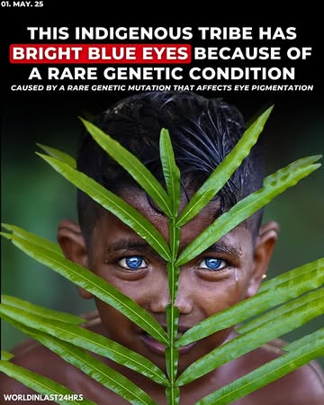 A small indigenous tribe in Southeast Asia, likely from Indonesia or the surrounding regions, where some members have strikingly bright blue eyes—a rare trait in people with darker skin tones. Scienti...