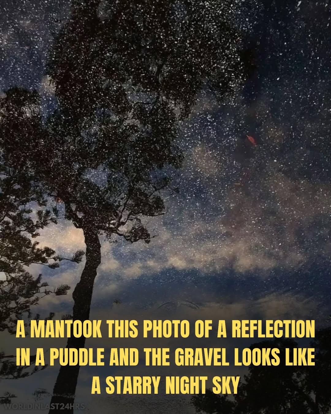 You’ll do a double-take! 😲 These real photos look too crazy to be true — swipe to see them all!⚠️⚠️⚠️Disclaimer: NO COPYRIGHT INFRINGEMENT INTENDED!We do not own the rights to this video and photo use...