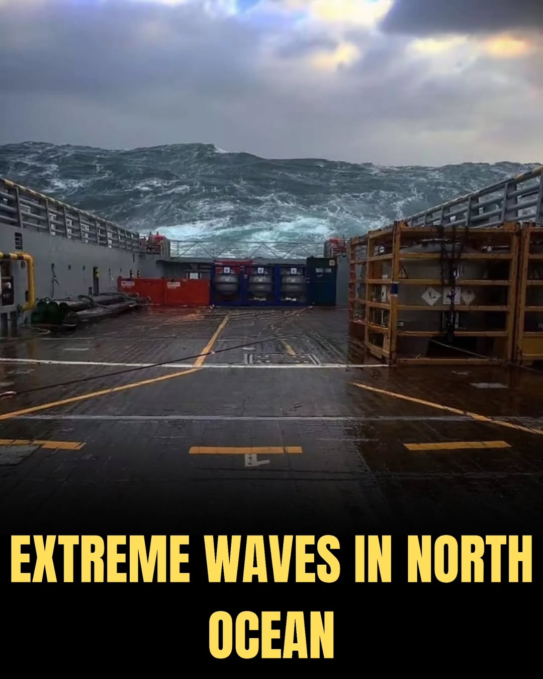 You’ll do a double-take! 😲 These real photos look too crazy to be true — swipe to see them all!⚠️⚠️⚠️Disclaimer: NO COPYRIGHT INFRINGEMENT INTENDED!We do not own the rights to this video and photo use...