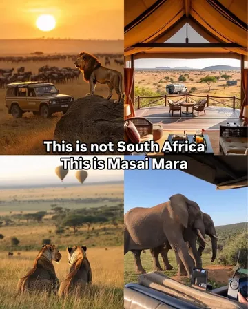 Kenya defies the stereotypes. This nation is a stunning blend of contrasts—where vast savannahs meet sleek skylines, where rich traditions thrive alongside bold innovation. 🇰🇪It’s more than wildlife a...