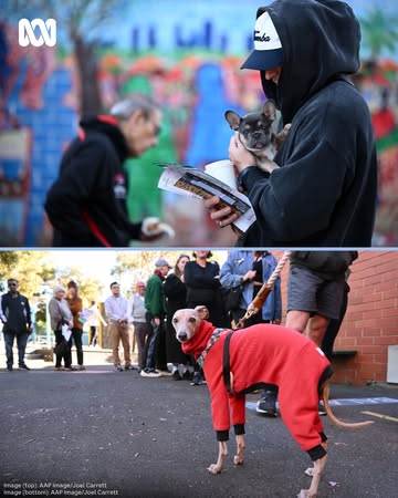 Budgy smugglers, rugged up doggos and democracy sausages π β Aussies head to the polls across the country and the world. Get all the latest election news with ABC NEWS, at the link in our bio.#ABCNews...