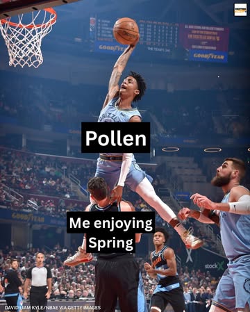 I hate pollen