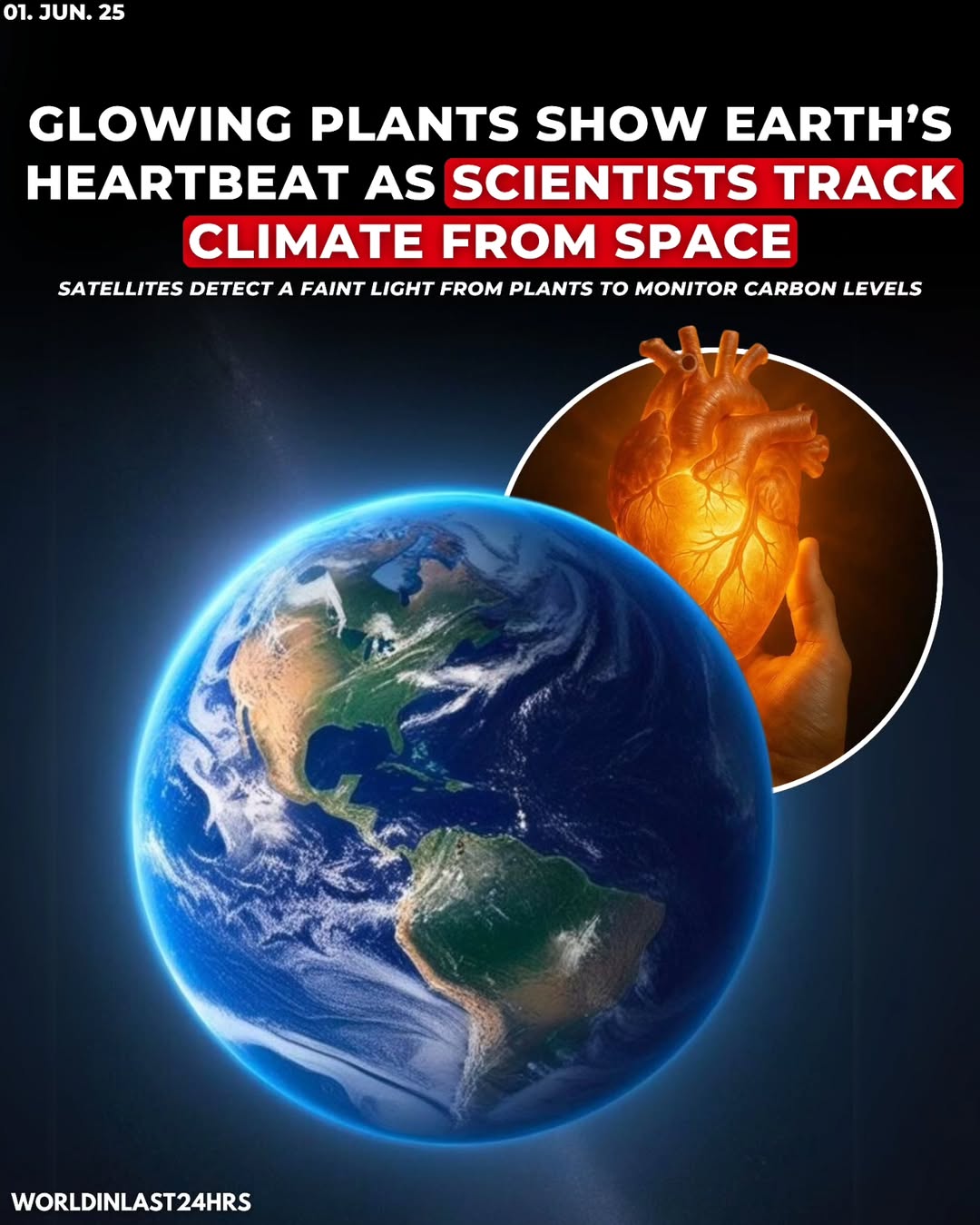 Scientists have discovered that plants give off a very faint natural glow during photosynthesis, the process they use to make food from sunlight. This glow is known as solar-induced chlorophyll fluore...