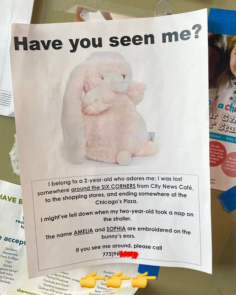 Everyone’s out here posting April Fool’s memes, so I thought I’d post something serious. Nah, just kidding—I ain’t keeping this little girl’s bunny hostage. I sold it on eBay.- 🌭 FOLLOW 🕳️ SHARE 🌭 -#d...