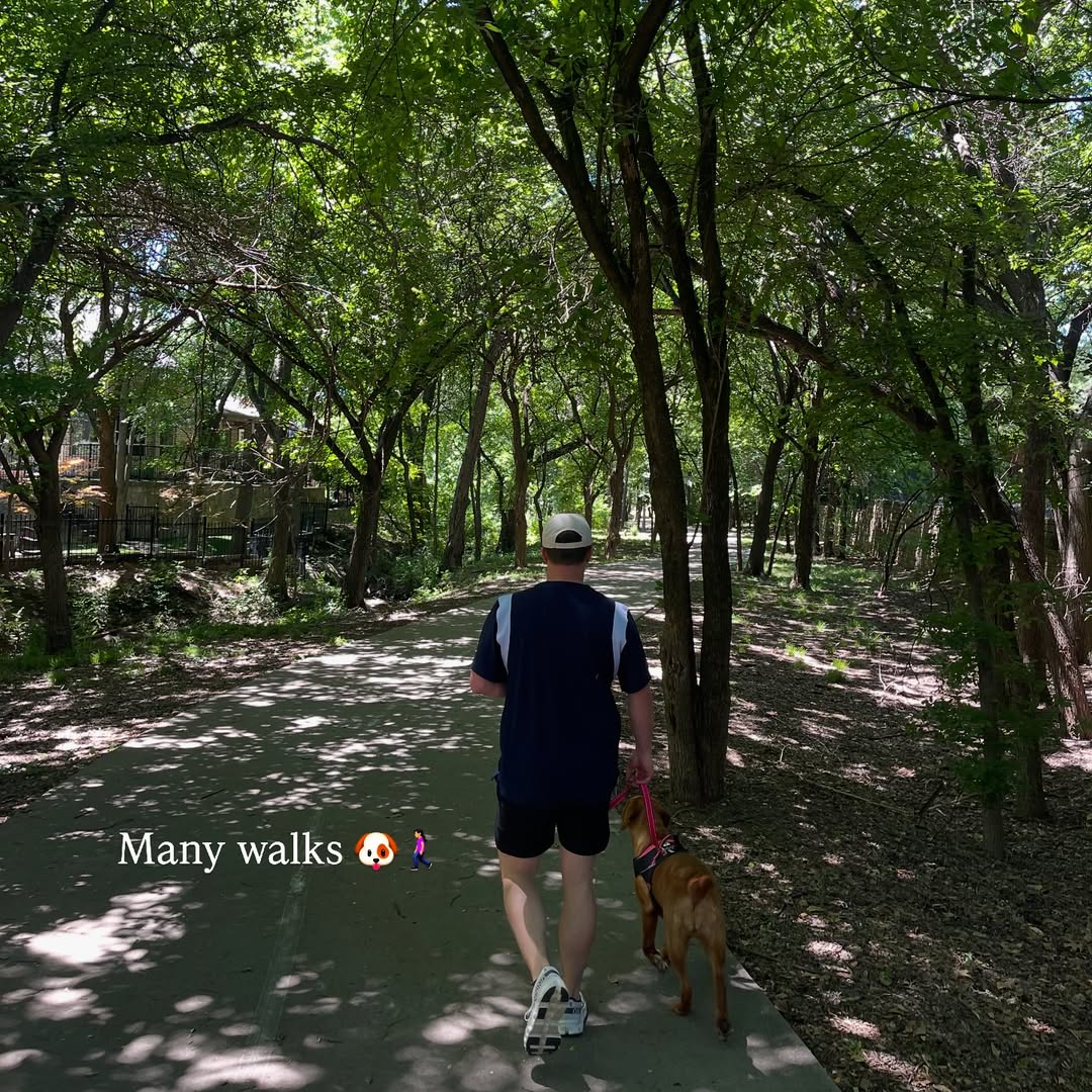 Life recently has consisted of a lot of walks, recovery, performances, weddings, and togetherness🩵