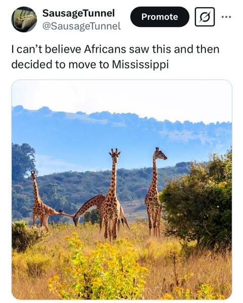 I’m not trying to say anything negative against Mississippi but this just seems like such a downgrade. Like what on Earth could have inspired so many to leave this Garden of Eden just to live in Jacks...