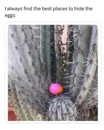 I hope everyone had a wonderful Easter (if you celebrate), or a wonderful 4/20 (if you celebrate), or a wonderful “Awake and Bake” — as I am now christening any Easter Sunday that happens to fall on 4...