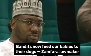 Bandits now feed our babies to their dogs — Zamfara lawmaker cries outA member of the House of Representatives from Zamfara State, Rep Aminu Jaji has decried the worsening security situation in his co...