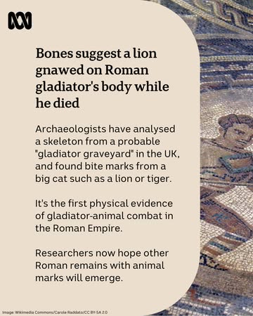 If you're ever having a bad day, just remember you're not the gladiator bitten by a large cat in the UK ... To read more and stay in the know via the ABC News app, check out the link in our bio.#ABCNe...