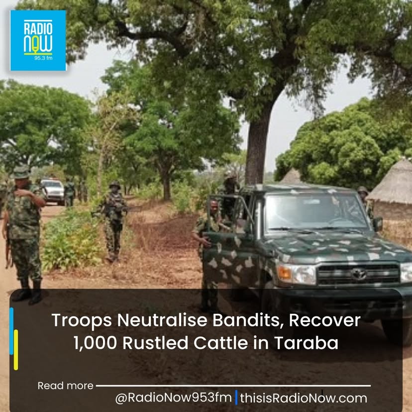 Troops of the Nigerian Army's 6 Brigade and Operation Whirl Stroke, in joint action with Operation Safe Haven, have neutralised two bandits and recovered around 1,000 stolen cattle in Taraba and neigh...